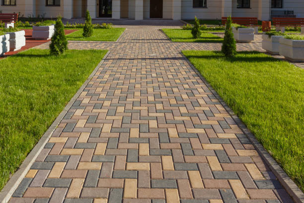 Best Affordable Driveway Paving  in Gallup, NM